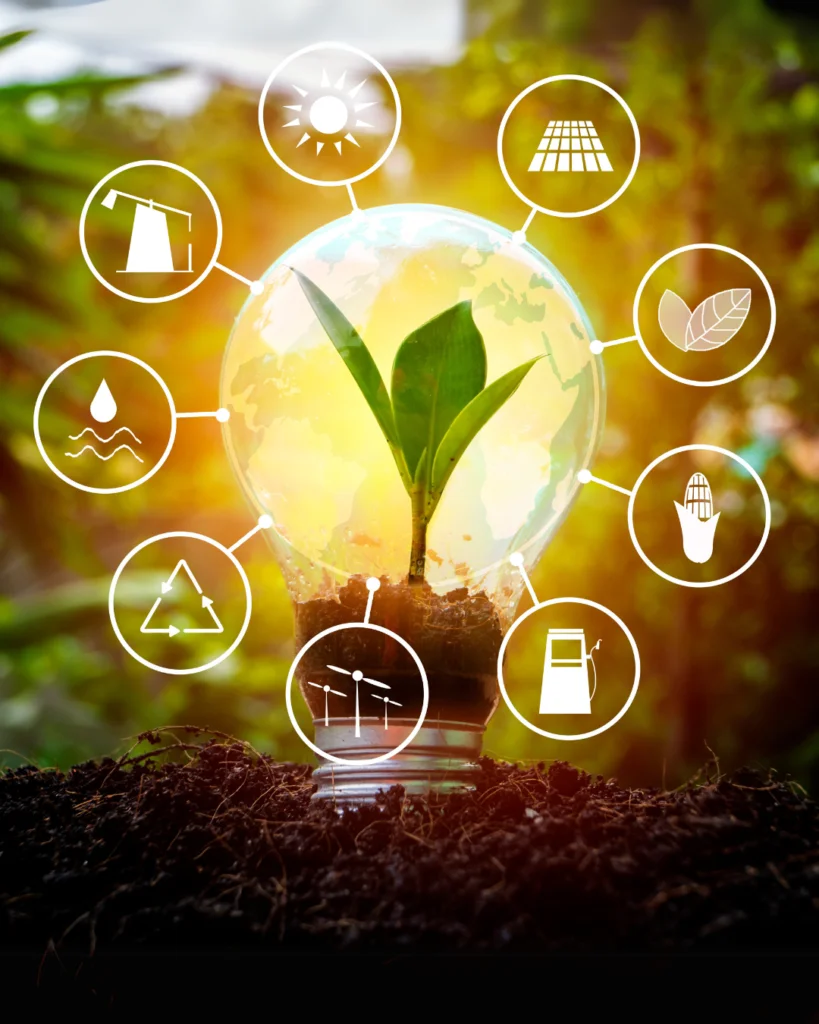 The Clean Energy Opportunity in India