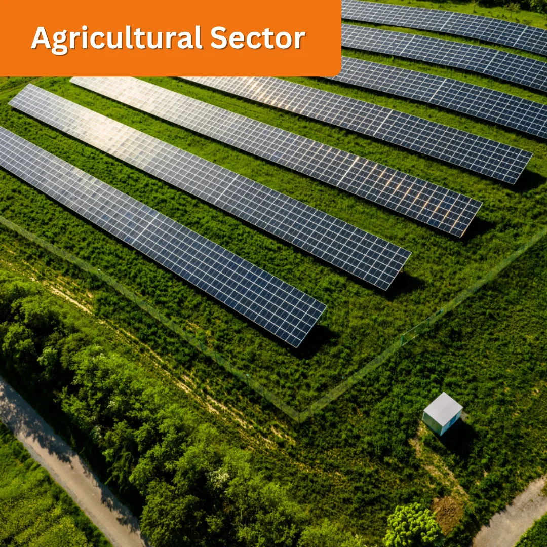 Agriculture Sector