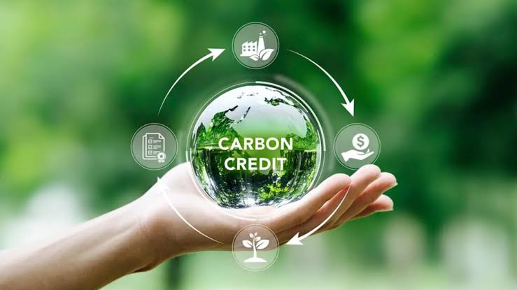 Carbon Trading Services and Carbon Market Support