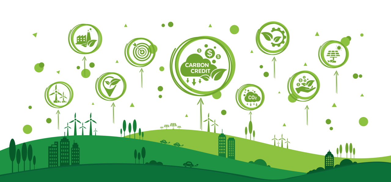 Carbon Credit Lifecycle